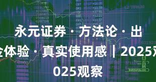 永元证券 · 方法论 · 出入金体验 · 真实使用感｜2025观察