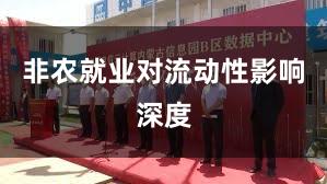 非农就业对流动性影响深度