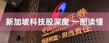 新加坡科技股深度 一图读懂