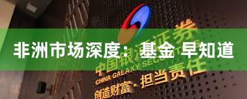 非洲市场深度：基金 早知道